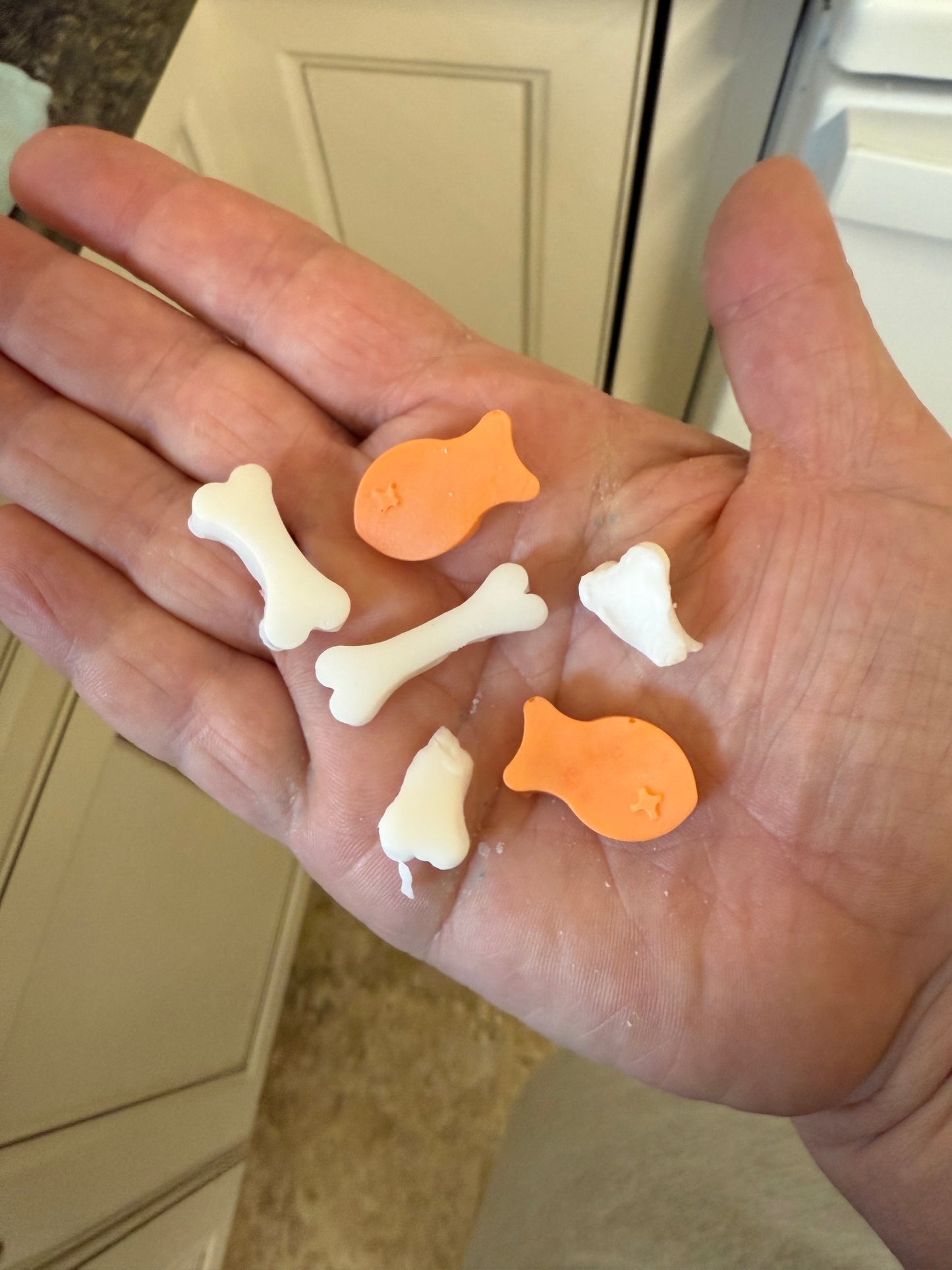 Shark Poop