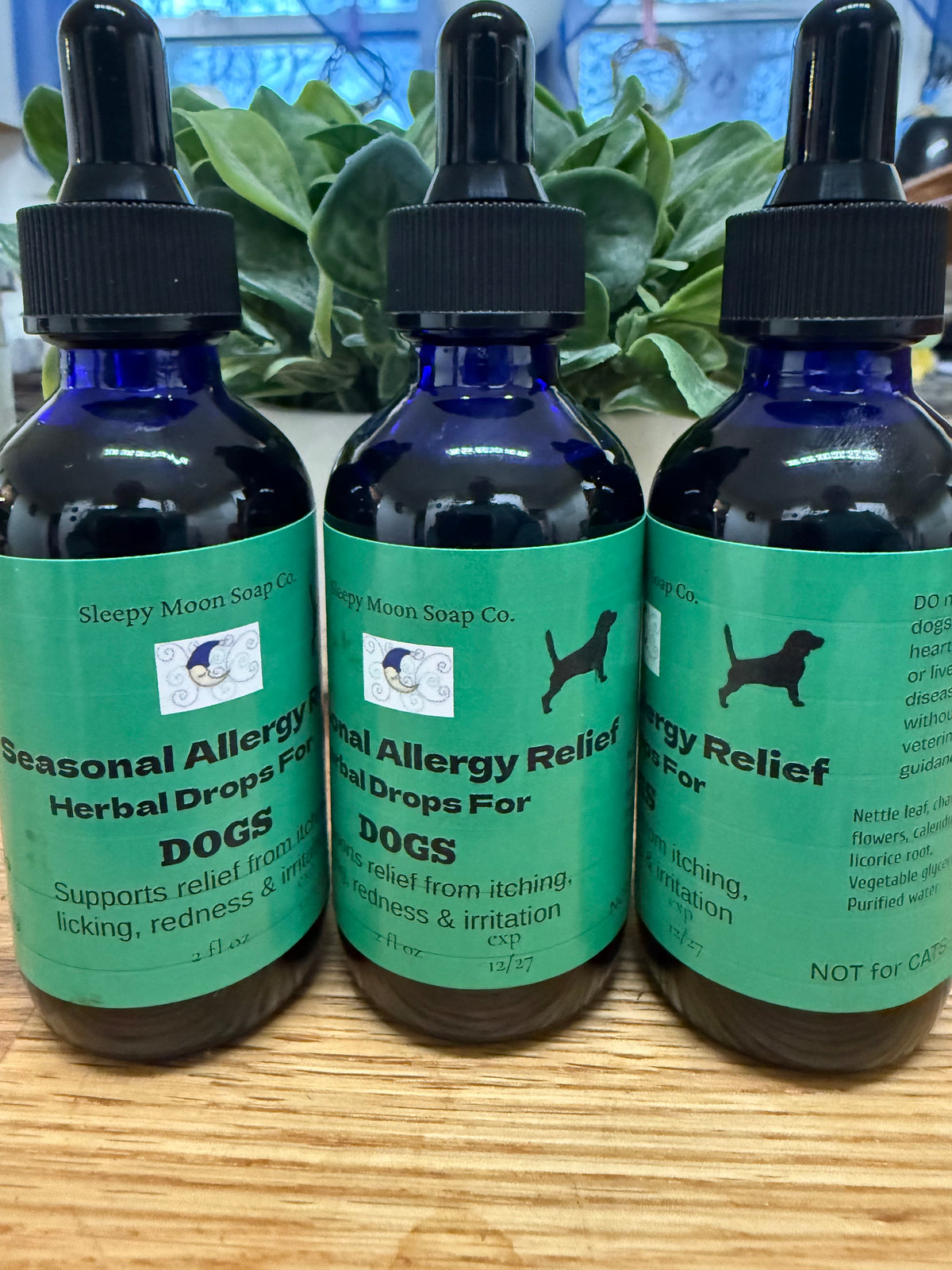 Seasonal Allergy Relief for DOGS – Sleepy Moon Shac